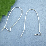 Support Boucle d'oreille Dormeuse 38mm N°03 x 1 Paire