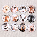 Lot 24 cabochons rond en verre 25mm Chien mixte Glass cabochon 