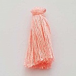 Pompon fil uni 25 mm N°24