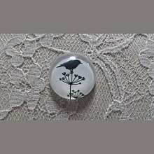 cabochon rond en verre 10mm oiseaux 019 