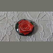 cabochon rond en verre 25mm fleur 01-022 