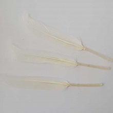 1 Plume 15 cm N°01 Blanc