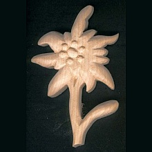 Edelweiss découpée sculptée  non cirée