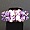 Kit bague Ceuta purple velvet