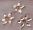 D&eacute;cor de fleurs en strass