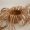 pot en macram&eacute; coton marron