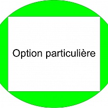 Option à ajouter à une commande pour une option ou un service particulier