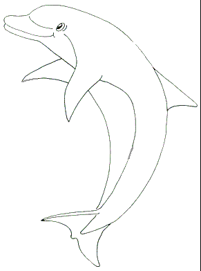 modèle windows color coloriage dauphin