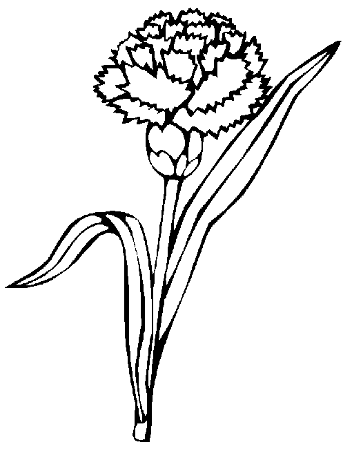 modèle windows color coloriage fleur