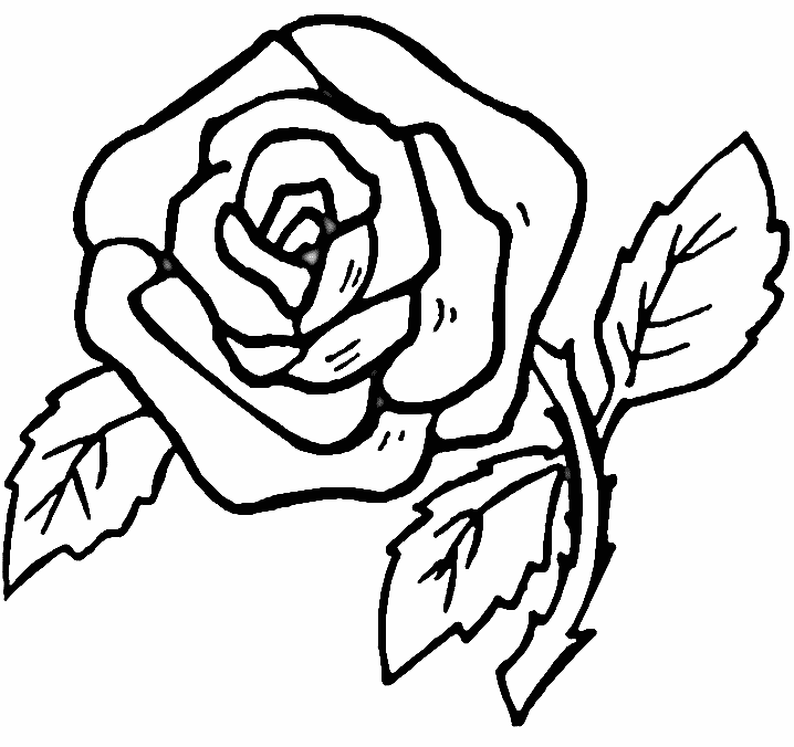 modèle windows color coloriage rose
