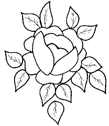 modèle windows color coloriage rose